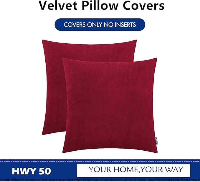 HWY 50 Burgundy Red Velvet Throw Pillow Covers 20x20 Inch, Pack of 2 Soft Cozy Solid Decorative Luxury Cushion Cases for Couch Sofa Bed Living Room Bedroom