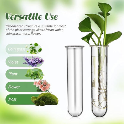 Housoutil Glass Test Tubes for Plants, 5PCS Glass Propagation Tubes for Plants, Test Pipe Vase for Scientific Experiments, Party Office and Home Decorations, Flowers Desktop Propagation