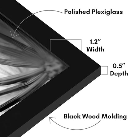 Americanflat 21x34 Picture Frame with Polished Plexiglass - Black Picture Frame - Wide Photo Frames Made of Engineered Wood for Vertical or Horizontal Wall Display - Epic Collection - Black