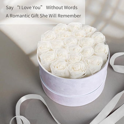 Gifts for Women Preserved Roses Flower Box, Luxury Velvet Box with 20 Roses, Preserved Flowers, Romantic Gift for Her, Wife, Girlfriend, Birthday Anniversary Christmas (White)