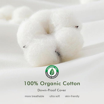 Feathers Down Throw Pillow Inserts 28x28, Set of 2, 100% Organic Cotton Shell, Soft Decorative Euro Pillow Insert for Living Room Sofa, Couch, or Bed (White)