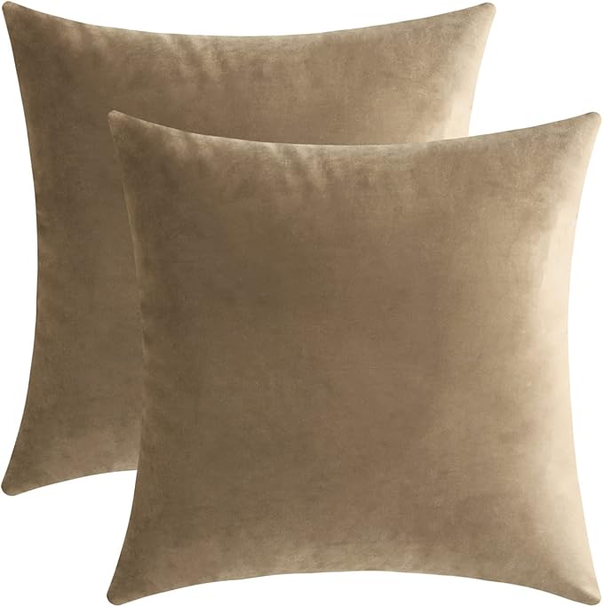 Jeneoo Light Brown Decorative Throw Pillow Covers Velvet Super Soft Thick Solid Square Euro Cushion Cases Pillowcase for Sofa Living Room Decor, Set of 2, 18 x 18 Inches
