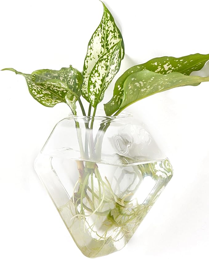Mkono Wall Planter Hanging Propagation Stations Flower Vase Glass Pots Holder for Hydroponic Plants, Indoor Home Office Living Room Bathroom Decor Gifts, 3 Pack