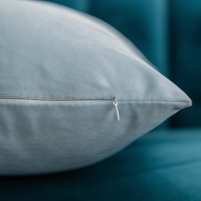 Throw Pillow Cases 20x20 Light-Blue: 2 Pack Cozy Soft Velvet Square Decorative Pillow Covers for Farmhouse Home Decor
