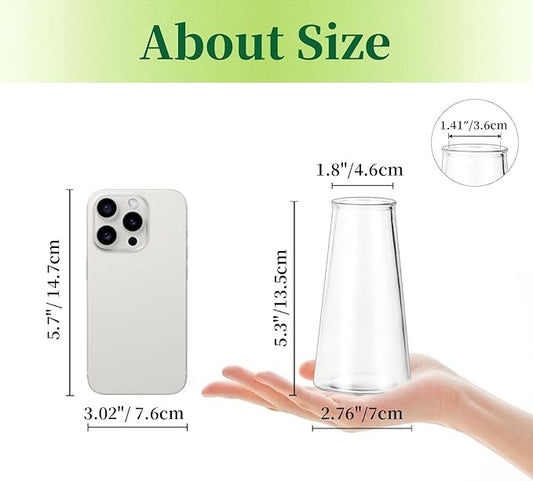 Hewory Glass Bud Vases for Centerpieces: Small Clear Modern Flower Vase Set of 12, Minimalist Cute Mini Decorative Bulk Vases for Wedding Birthday Bridal Shower Party Events Dining Room Table Decor