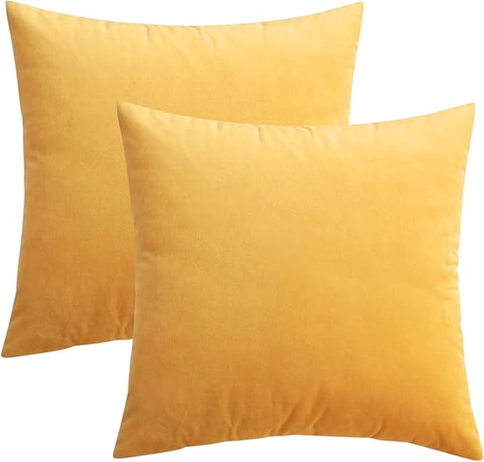 RELY+ Pack of 2 Throw Pillow Covers 16x16 Inch Velvet Soft Cozy Solid Decoration Gifts Pillow Covers Luxury Cushion Case for Sofa Couch Bedroom Living Room (Yellow, 16 x 16)