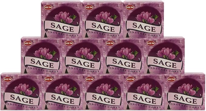 Sage Incense Cones And Cone Incense Burner Bundle Insence Insense Hem Incense