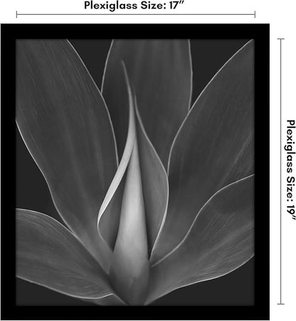 Americanflat 17x19 Picture Frame with Polished Plexiglass - Black Picture Frame - Wide Photo Frames Made of Engineered Wood for Vertical or Horizontal Wall Display - Epic Collection - Black