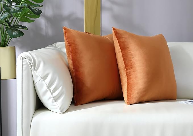 mixeoo Comfy Terracotta Couch Throw Pillow Covers Decorative Square Solid Velvet Soft Cushion Cases Home Decor for Sofa Couch Living Room, Set of 2, 16 x 16 Inch