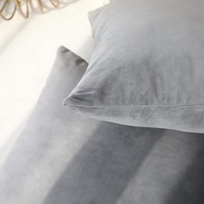 Set of 2 Comfortable Throw Pillow Cover for Bedding, Decorative Accent Cushion Sham Case for Couch Sofa, Soft Solid Velvet with Zipper Hidden - 20"x20", Dolphin Gray