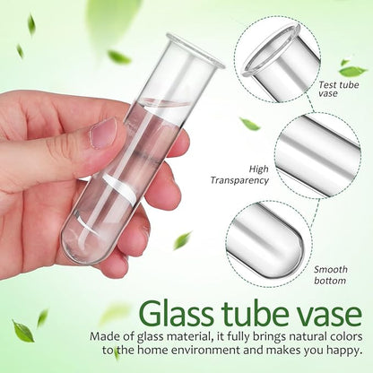 Housoutil Glass Test Tubes for Plants, 5PCS Glass Propagation Tubes for Plants, Test Pipe Vase for Scientific Experiments, Party Office and Home Decorations, Flowers Desktop Propagation