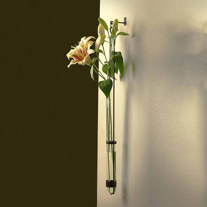 Couronne Company M046-001 Florence Hanger & Wall Hook, 31", Clear, 1 Piece