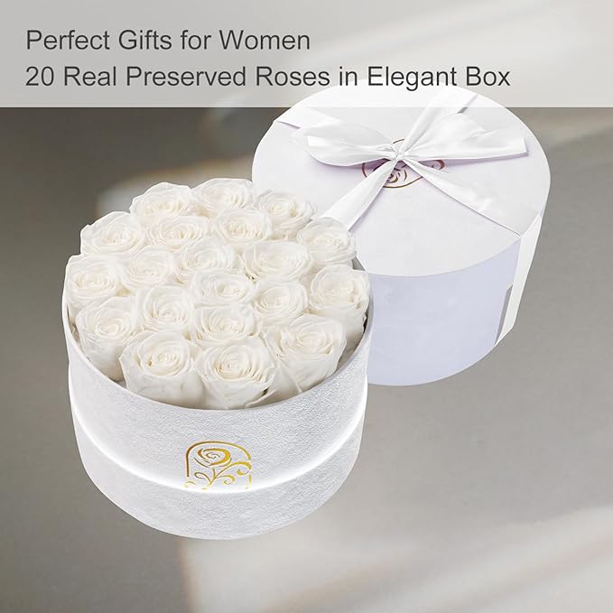 Gifts for Women Preserved Roses Flower Box, Luxury Velvet Box with 20 Roses, Preserved Flowers, Romantic Gift for Her, Wife, Girlfriend, Birthday Anniversary Christmas (White)