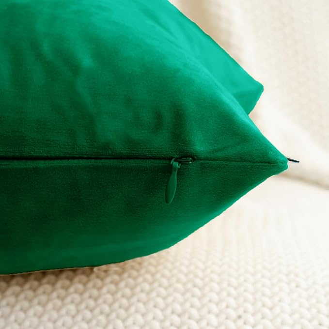 HWY 50 Dark Green Velvet Throw Pillow Covers 20x20 Inch, Pack of 2 Soft Cozy Solid Decorative Luxury Cushion Cases for Couch Sofa Bed Living Room Bedroom