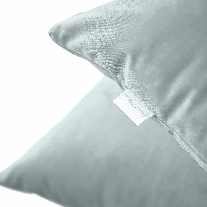 FY FIBER HOUSE Pack of 2 Velvet Throw Pillow Covers Decorative Square Pillowcase Soft Solid Cushion Case for Sofa/Couch Use, 18 x 18 Inch Light Grey