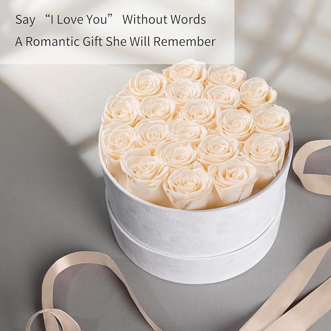 Gifts for Women Preserved Roses Flower Box, Luxury Velvet Box with 20 Roses, Preserved Flowers, Romantic Gift for Her, Wife, Girlfriend, Birthday Anniversary Christmas (Buttermilk)
