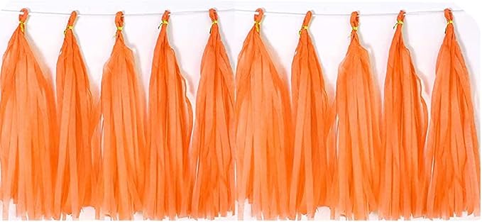 30pcs Paper Tassels Garland Banner Tissue Paper Tassel DIY Party Tassel Garland Decor Hanging Paper Decorations Baby Shower Nursery Wedding Festival Decoration(30, Lt-Orange)