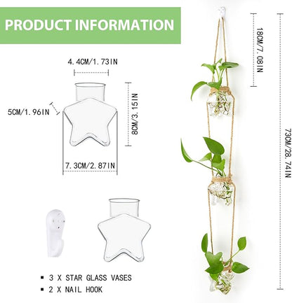 XXXFLOWER Wall Hanging Propagation Station，3 Tiers Star Shaped Glass Flower Vase for Hydroponic Planter Terrarium for Plant Cutting Home Office Living Room Garden Decor