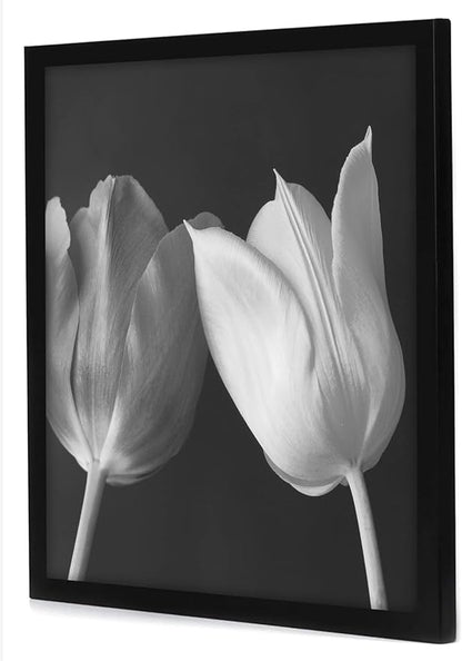 Americanflat 18x18 Picture Frame with Polished Plexiglass - Epic Collection - Square Picture Frame with Engineered Wood - Wide Photo Frames for Wall display - Black
