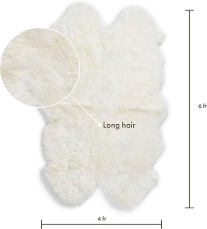 Real Sheepskin Rug 4x6 ft | Sheepskin Rugs for Living Room and Sofa | Bedside Rugs for Bedrooms | Large Fluffy Rug is Breathable & Heat-regulating in Color White