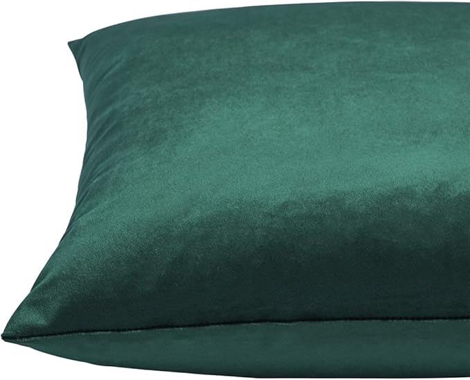 GIGIZAZA Decorative Couch Forest Green Pillow Covers,Set of 2 Throw Pillow Cushion Covers 24x24,Square Sofa Velvet Pillow Cases