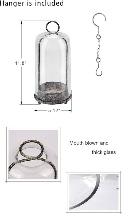 12" High Versatile Modern Metal Hurricane Lantern with Handmade Sturdy Glass Dome in Shabby Black for Pillar Candle & Plants, Industrial, Farmhouse (Black Shabby, 5"x12")