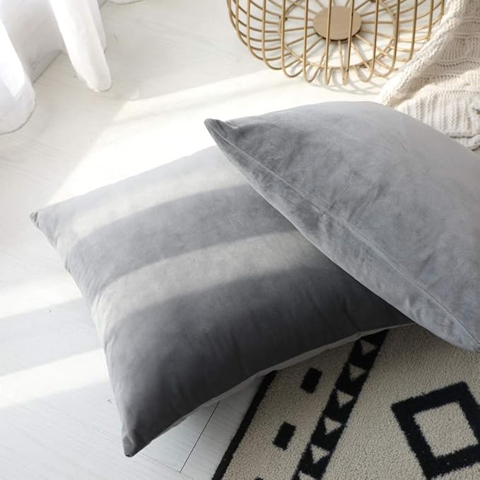 Set of 2 Comfortable Throw Pillow Cover for Bedding, Decorative Accent Cushion Sham Case for Couch Sofa, Soft Solid Velvet with Zipper Hidden - 18"x18", Dolphin Gray