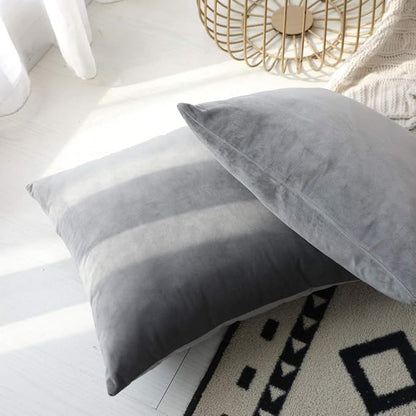Set of 2 Comfortable Throw Pillow Cover for Bedding, Decorative Accent Cushion Sham Case for Couch Sofa, Soft Solid Velvet with Zipper Hidden - 18"x18", Dolphin Gray