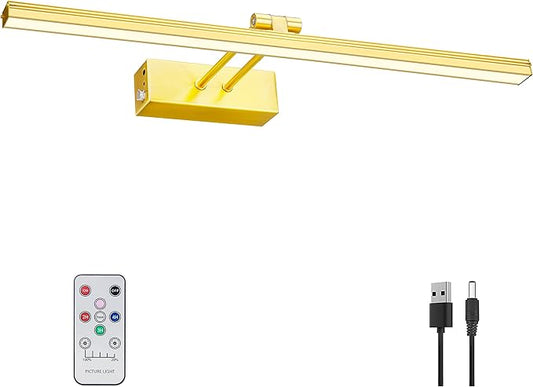 FUNCHDAY Picture Light,Battery Art Lights for Wall,Wireless Remote Painting Light with Timer and Dimmable,20”Metal Display Lighting for Artwork,Portrait,Gallery-Brass