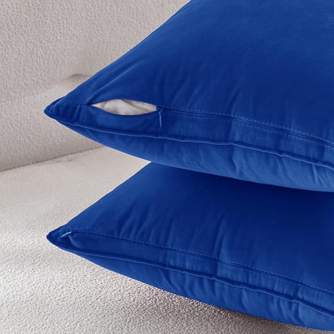 MIULEE Pack of 2 Royal Blue Decorative Velvet Throw Pillow Covers Soft Pillowcases Spring Solid Square Cushion Case for Sofa Bedroom Car 20x20 Inch