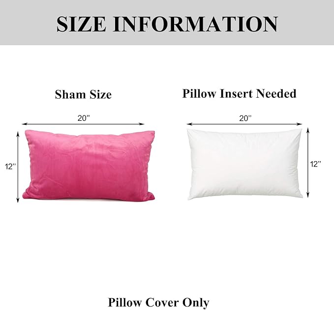 YOUR SMILE Pack of 2 Velvet Pure Color Pillow Covers Decorative Square Pillowcase Soft Solid Cushion Case for Sofa Bedroom Car (Pink, 12''x20'')