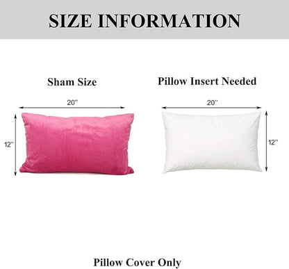 YOUR SMILE Pack of 2 Velvet Pure Color Pillow Covers Decorative Square Pillowcase Soft Solid Cushion Case for Sofa Bedroom Car (Pink, 12''x20'')