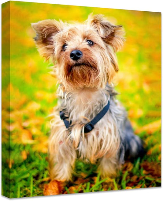 Personalized Photo to Canvas Print - Canvas Prints With Your Photos on Custom Wall Art for Bedroom, Living Room, Wedding Baby Pet Family Picture Framed Wall Art (8" W x 10" H)