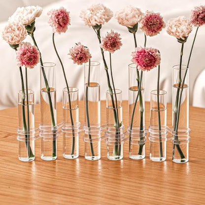 8PCS Test Tube Vases Decorative Glass Flower Vase Hinged Flower Vases Planter Flower Arranging Container Hydroponic Flower Holder Decor with 15PCS Hooks and 2PCS Brushes (VASES-B)