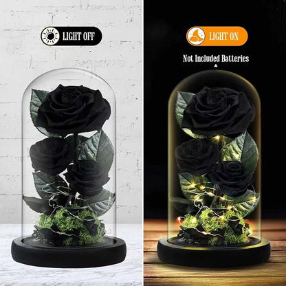 3 Preserved Flowers Roses in Glass Dome with Light for Beauty and The Beast Decor Real Rosas Eternas for Women Mom Birthday,Forever Black Roses for Delivery, Christmas for Wife Girlfriend Her