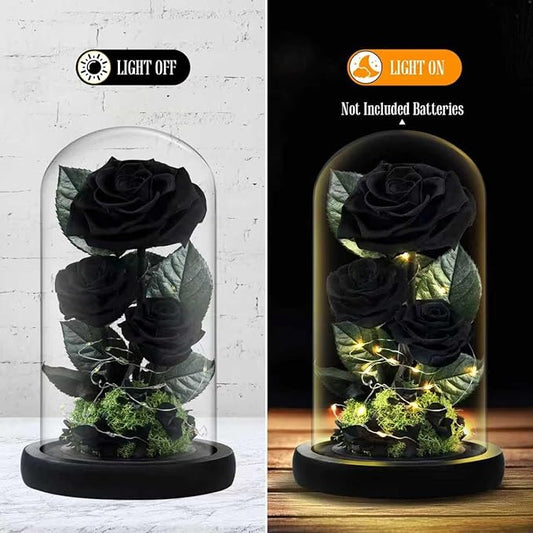 3 Preserved Flowers Roses in Glass Dome with Light for Beauty and The Beast Decor Real Rosas Eternas for Women Mom Birthday,Forever Black Roses for Delivery, Christmas for Wife Girlfriend Her