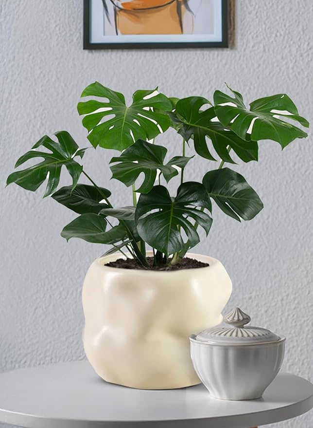 Serene Spaces Living Ceramic Sculptural Vase, Modern Organic Vase for Home, Event Decor, Table Centerpiece, or Gifting - Perfect for Fresh or Dried Flowers, 6.5" Diameter & 5" Tall