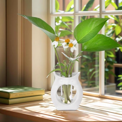 ORGJ Owl Propagation Vase for Plants - Handcrafted Ceramic with Removable Glass Tube, 2-in-1 Hydroponic Planter & Aroma Diffuser, Plant Terrarium Decor Gifts for Plant Lovers Office Desk