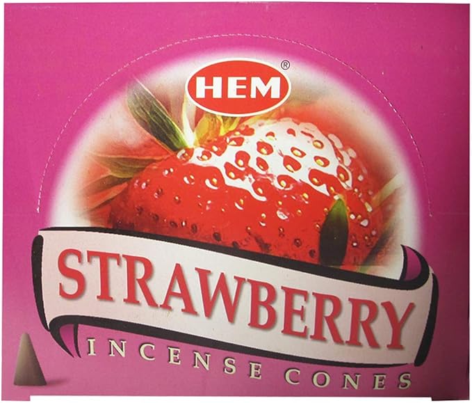 Strawberry Incense Cones and Cone Incense Burner Bundle Insence Insense Hem Incense