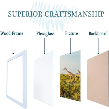 11x17 Picture Frame Set of 3,Wooden Frame 11by17 Wall Gallery Poster Photo frame white with Durable Shatter Resistant Plexiglass for Wall Mounting Family -friend- wedding best gift