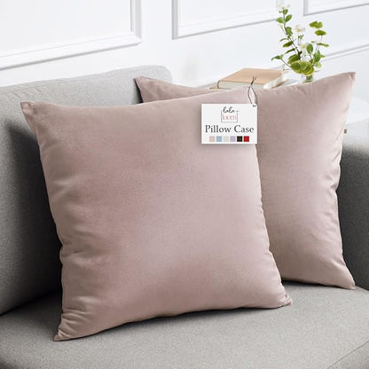 lalaLOOM Velvet Throw Pillow Covers, Set of 2, 24x24 Decorative Square Pillows Home Decor, Soft Accent Cases, Silky Machine Washable Pillowcases for Sofa, Couch, Bedroom, Living Room, Petal Pink