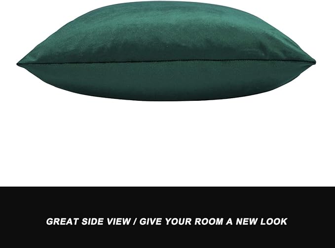 GIGIZAZA Decorative Couch Throw Pillow Covers,Set of 2 Forest Green Square Pillow Cushion Covers 22x22,Pillow Cases Velvet Pillow Covers