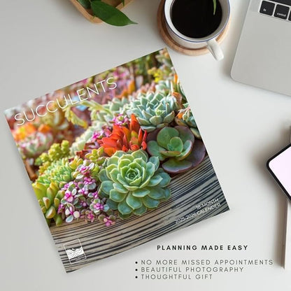 2026 Succulents Wall Calendar 18 Month | 12" x 24" Open | Giftable Flowers Calendar 2026 | Thick & Sturdy Paper for Organizing & Planning | Pacific Waters Press (Succelents)
