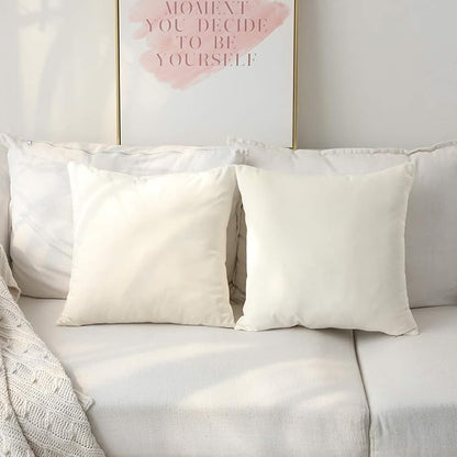 Set of 2 Comfortable Throw Pillow Cover for Bedding, Decorative Accent Cushion Sham Case for Couch Sofa, Soft Solid Velvet with Zipper Hidden - 14"x14", Ivory