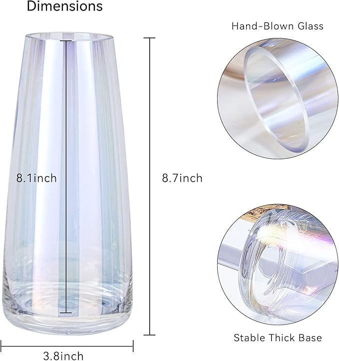 Ekirlin Modern Glass Vase, 8.7 inch Irised Crystal Clear Glass Vase, Thickened Hand Blow Flower Vase Round Bottles for Home Decor, Bookshelf, Room, Office Decor (Crystal Clear)