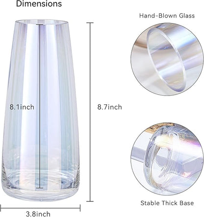 Ekirlin Modern Glass Vase, 8.7 inch Irised Crystal Clear Glass Vase, Thickened Hand Blow Flower Vase Round Bottles for Home Decor, Bookshelf, Room, Office Decor (Crystal Clear)