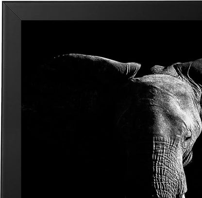 Americanflat 20x20 Picture Frame with Polished Plexiglass - Epic Collection - Square Picture Frame with Engineered Wood - Wide Photo Frames for Wall display - Black