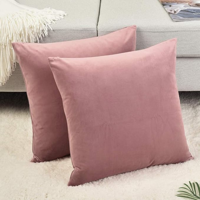 Set of 2 Comfortable Throw Pillow Cover for Bedding, Decorative Accent Cushion Sham Case for Couch Sofa, Soft Solid Velvet with Zipper Hidden - 20"x20", Mauve Pink
