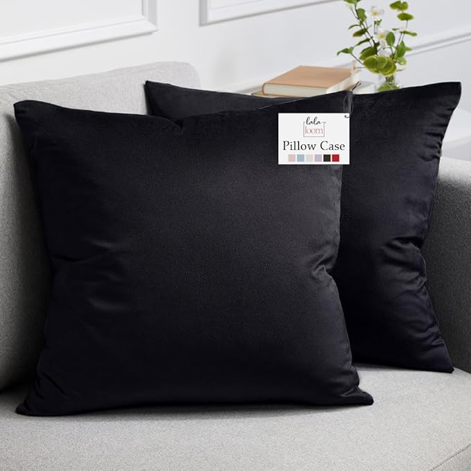 lalaLOOM Velvet Throw Pillow Covers, Set of 2, 24x24 Decorative Square Pillows Home Decor, Soft Accent Cases, Silky Machine Washable Pillowcases for Sofa, Couch, Bedroom, Living Room, Jet Black