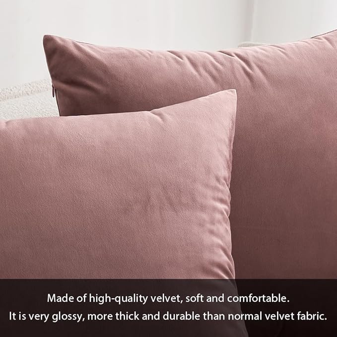 MIULEE Velvet Throw Pillow Covers 16x16 Inch, Pack of 2 - Jam, Soft Solid Decorative Pillow Covers Cushion Cases Modern Luxury Home Decor for Spring Couch Sofa Bedroom Livingroom